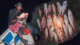 Night Catch Snappers And More..,. Fishing In The Dark