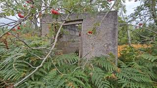 abandoned asbestos shed lethen wilderness