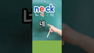 영어단어읽는방법 neck [넥] 목