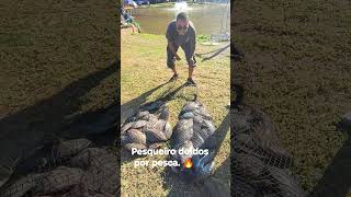 peixe com força no pesqueiro doi #pesca dos por pesca #pesqueiro