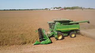 Harvesting Soybeans