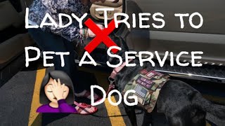 Lady tries to pet a Service Dog