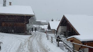 Murren live snow walk | Switzerland