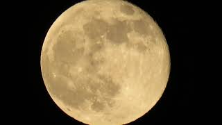 canon SX 540 HS ( super lune rose du 27 avril 2021 )