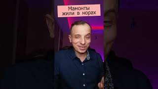 Анекдот Мамонты в норах