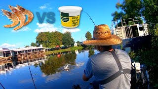 What bait works best for BAYOU CATFISH?