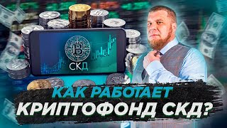 Стоит ли инвестировать в криптофонд в 2024 году?