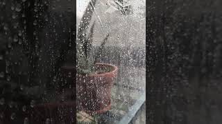 Milano uggiosa 🌧️☔💧 #italy #gratis #city #travel #viral #italia #shorts #short #shortvideo #milan