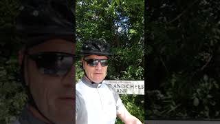 Ride every day in June Day 5 on my Van Nicholas Chinook lightweight Road bike #shorts