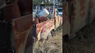 Forgotten Studebakers #classics #fieldfinds #junkyardtrucks #studebaker #classictrucks #shorts