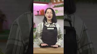 Які Види Фікусів Існують? 🌱 | Agro-Market.ua #фікус