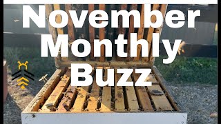 November 2024 Monthly Buzz