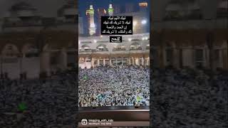 #hajj #hajj2023 #hajjmubarakstatus #status #viral #share #trending #shortsfeed #hajjstatus #reels