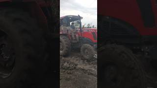 Massey in mud #tracting #tractor #stunt #shorts