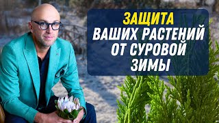 Защита ваших растений от суровой зимы!