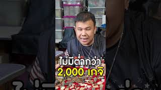 รุ่นนี้มวลสารไม่ต่ำกว่า 2,000 เกจิ #หลวงพ่อบุญค้ำ #วัดชัยเภรีย์ #นะหน้าทอง #โทนบางแคFC #มวลสาร