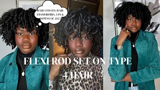 Flexi Rod Set On Type 4 Hair NO HEAT |  Hair Update | Embracing My Natural Hair | Hair Dysmorphia