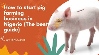 How to start pig farming business in Nigeria (The best guide)