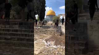 Al Aqsa mosque | plastine#shia #iran #iraq #karbala #imamhussain #yahussain #palestine #iranian