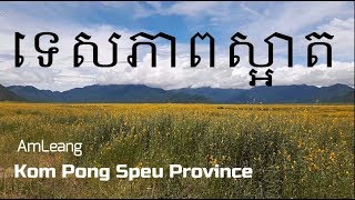 Amleang Kom Pong Speu - Cambodia - ផ្កាស្នោ រីកនៅអមលាំង ខេត្តកំពង់ស្ពឺ  01