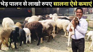 भेड़ पालन में होती है बकरियों से ज्यादा कमाई Sheep Farming A to Z Jankari #sheepfarming