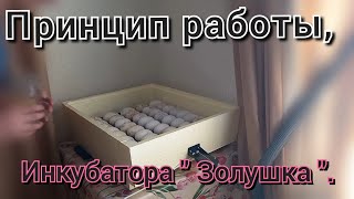 Эксплуатация инкубатора"Золушка ". Принцип работы. Обзор 2 часть.