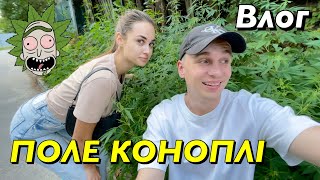 ВЛОГ : ЗНАЙШЛИ ПОЛЕ 🌿КОНОПЛІ, І НАШ НОВИЙ КАНАЛ!🎬