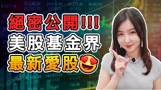 美股投資股票推介之最新8隻基金經理/機構投資者最新愛股｜美國基金經理和機構投資者最看好的板塊以及八隻他們喜歡的美股｜Mila Yuen 投資日常