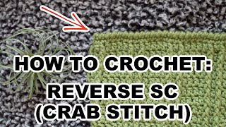 How to Crochet the Reverse Single Crochet (Crab Stitch)