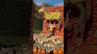 Ludwigsburg, pumpkin exhibition. Germany. State of Baden-Württemburg. #nature #travel #tramtour