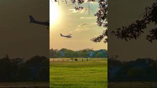 Every takeoff needs a proper landing #shorts #travel #beautiful