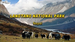 Langtang National Park | Nepal | Grip2Mind VLOG 40