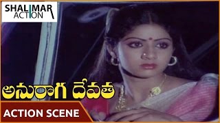 Anuraga Devatha Movie || NTR Extraordinary Fight Scene || NTR, Jayapradha, Sridevi || Shalimaraction