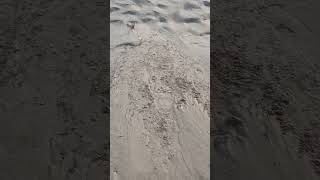 Walking down a sand dune #shorts #sand #sanddunes #satisfying #michigan