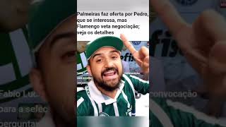 VEM SER FELIZ NO PALMEIRAS PEDRO - RECADO DO THIAGO VENTURA - ESSE É O 9 QUE PRECISAMOS