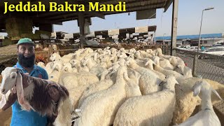 Jeddah Bakra Mandi In Falasteen Saudi Arabia ,  Jeddah Cattle farm ,مندي جدة بكرة في فلسطين السعودية