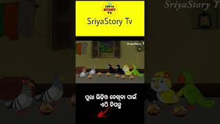 barsha re maggie khauchanti || odia gapa || tiki chadhei gapa || odia cartoon || odia moral story