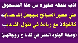 أسئلة متنوعة( دينية وثقافيه وجريئة )الجزء الثمانون/نسائم المعرفة✓ #425