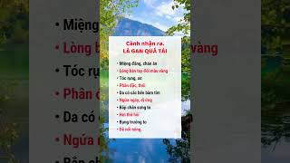 LÁ GAN QUÁ TẢI  #reels #xuhuong #suckhoe