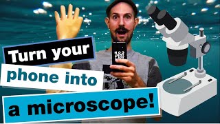 Turn your phone into a MICROSCOPE in ONE simple step!