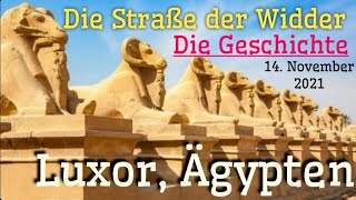 Rams' Road |  Die Geschichte|  Luxor Ägypten|  Nächsten November