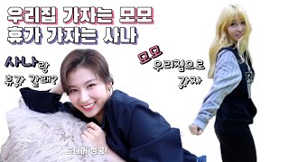 [TWICE] 우리집 가자는 모모, 휴가 가자는 사나 (한 원스의 주접)