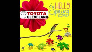 TOYOTA OF CLEVELAND