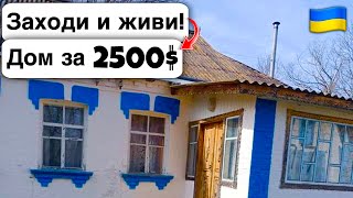 🇺🇦 Заходи и живи! Дом в селе за 2500$ Продажа недвижимости за копейки! Всё есть Уютное тихое село!