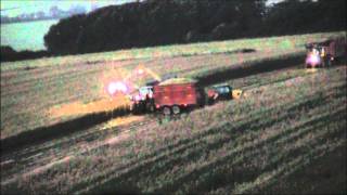 Maize Silage