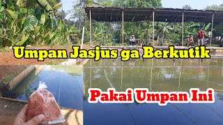 #UMPAN JASJUS VS UMPAN INI..TETANGGA PINDAH LAPAK #MANCING