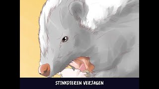 Stinkdieren verjagen