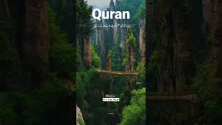 💕Quran Translation|| Islamic WhatsApp Status||🍃Quran Tarjuma|| #qurantranslation #quraninurdu #quran