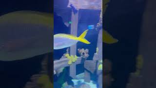 Aquarium Fun || Family Fun Time || Lifestyle