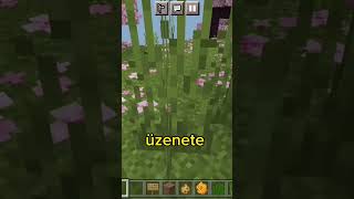 elrejtetem egy titkos üzenete #minecraftban #shorts